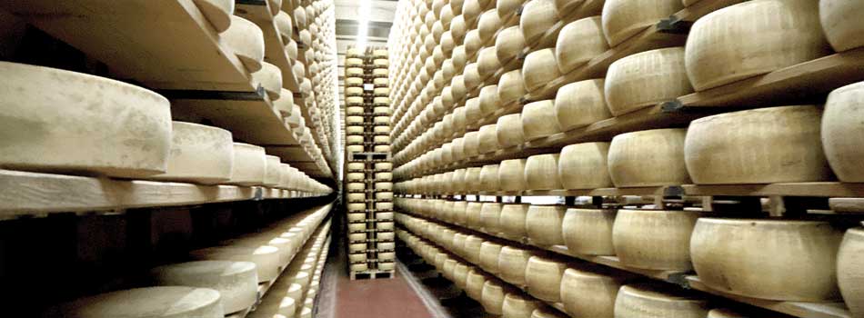 Guglielmi Stagionatura: efficiency and precision for an artisan product of excellence