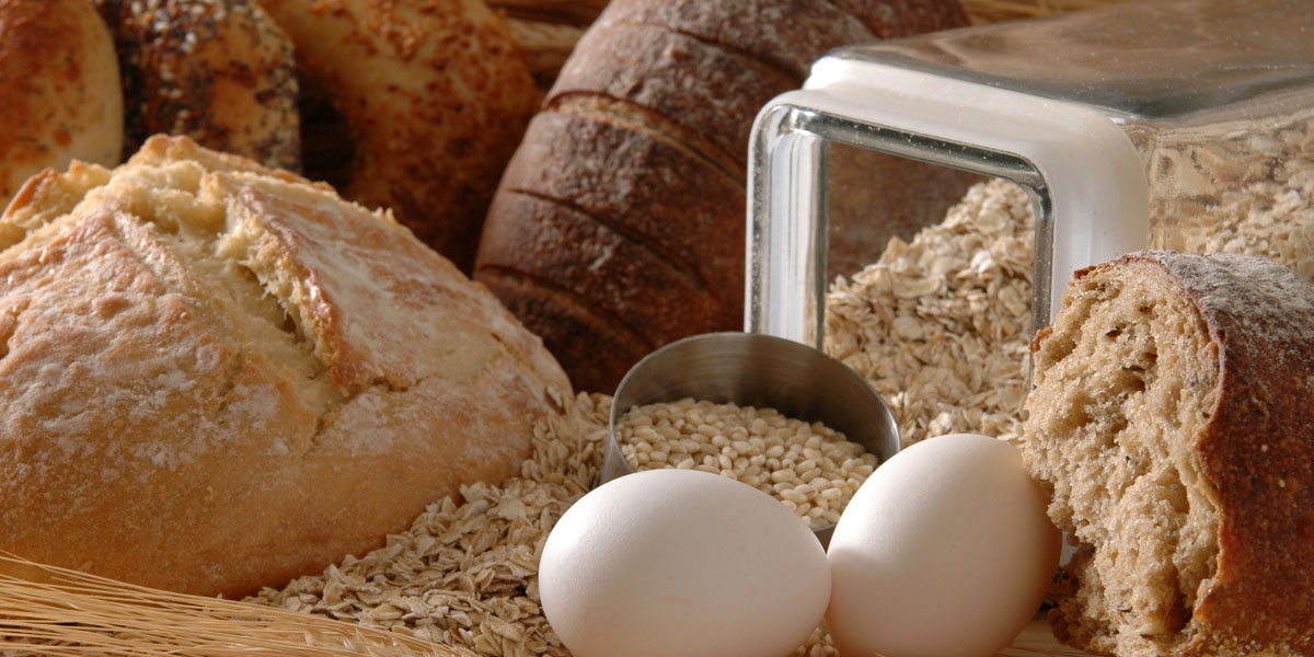 Production of bread and rusks (crisp bread)